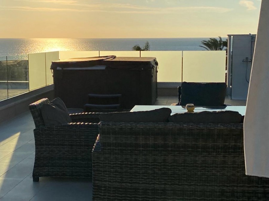 Вилла в Пафосе, Кипр, 4 039 м² - фото 16