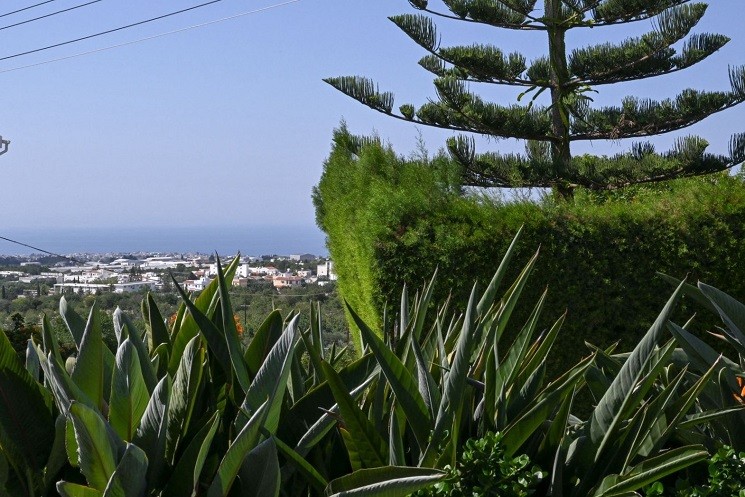 Бунгало в Пафосе, Кипр, 450 м² - фото 15