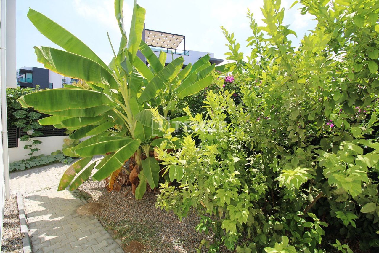 Вилла в Кирении, Кипр, 210 м² - фото 7