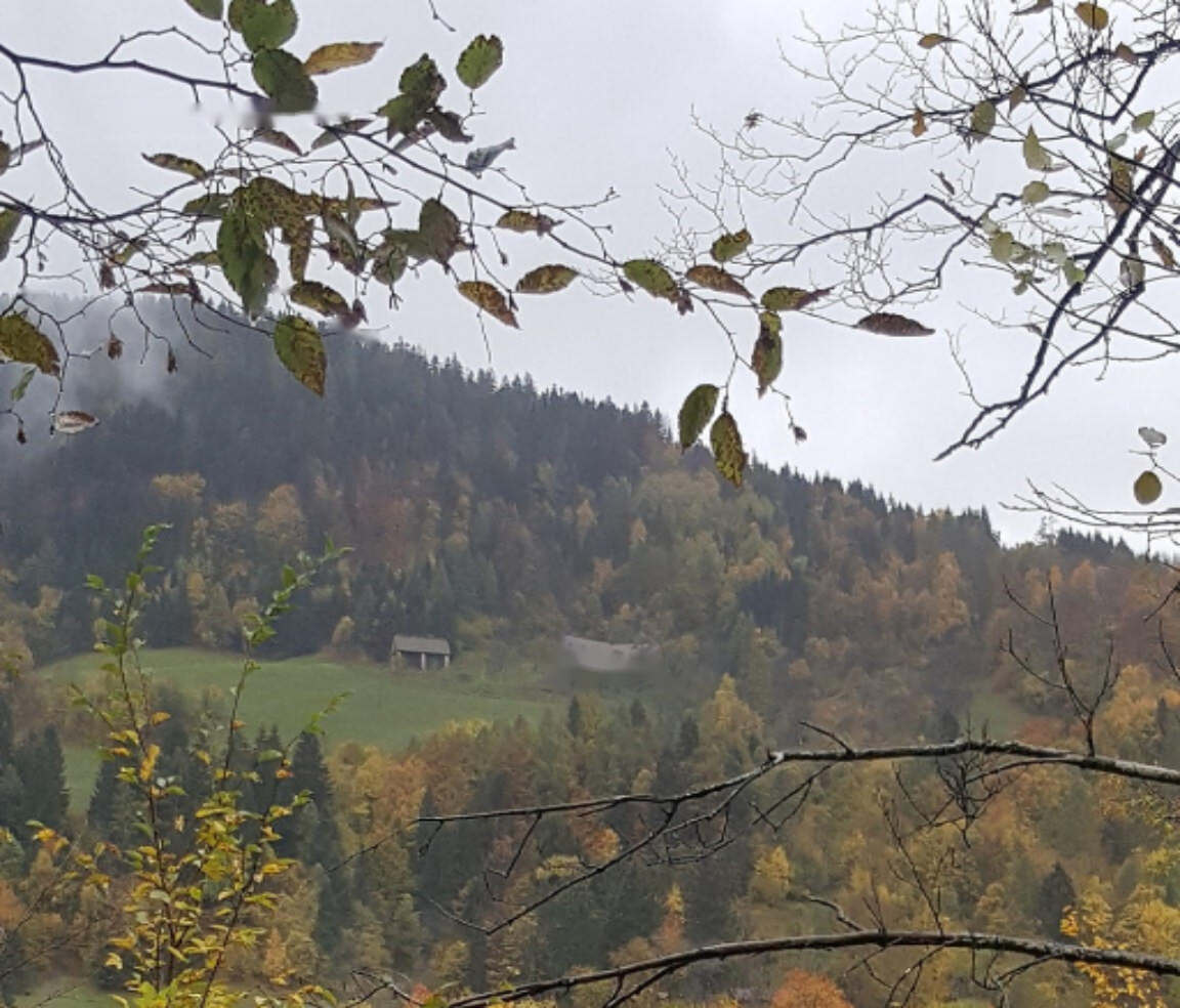 Ферма в Лашко, Словения, 377 037 м² - фото 2