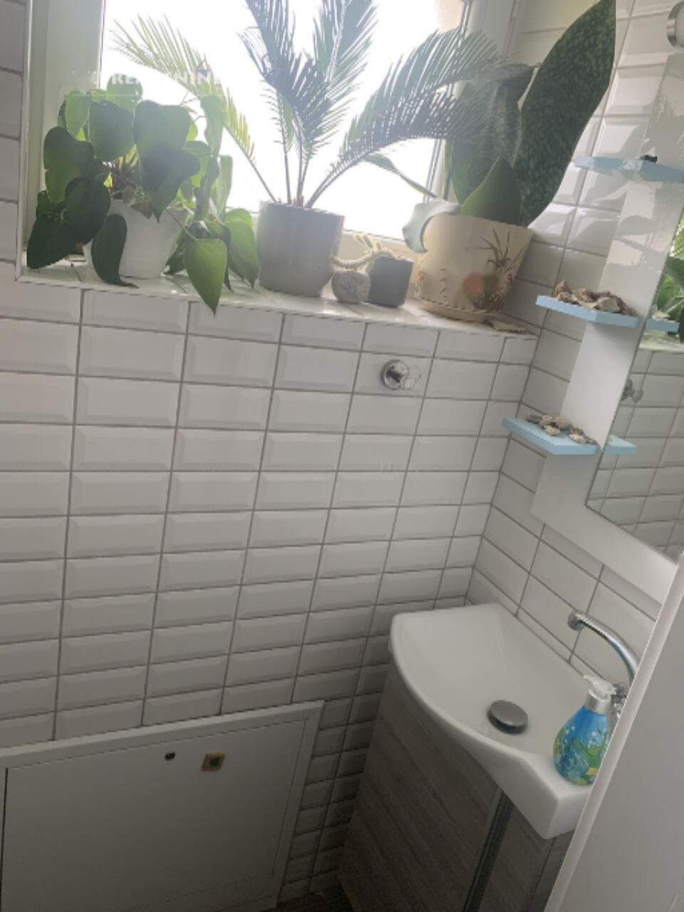 Дом в Любляне, Словения, 250 м² - фото 6