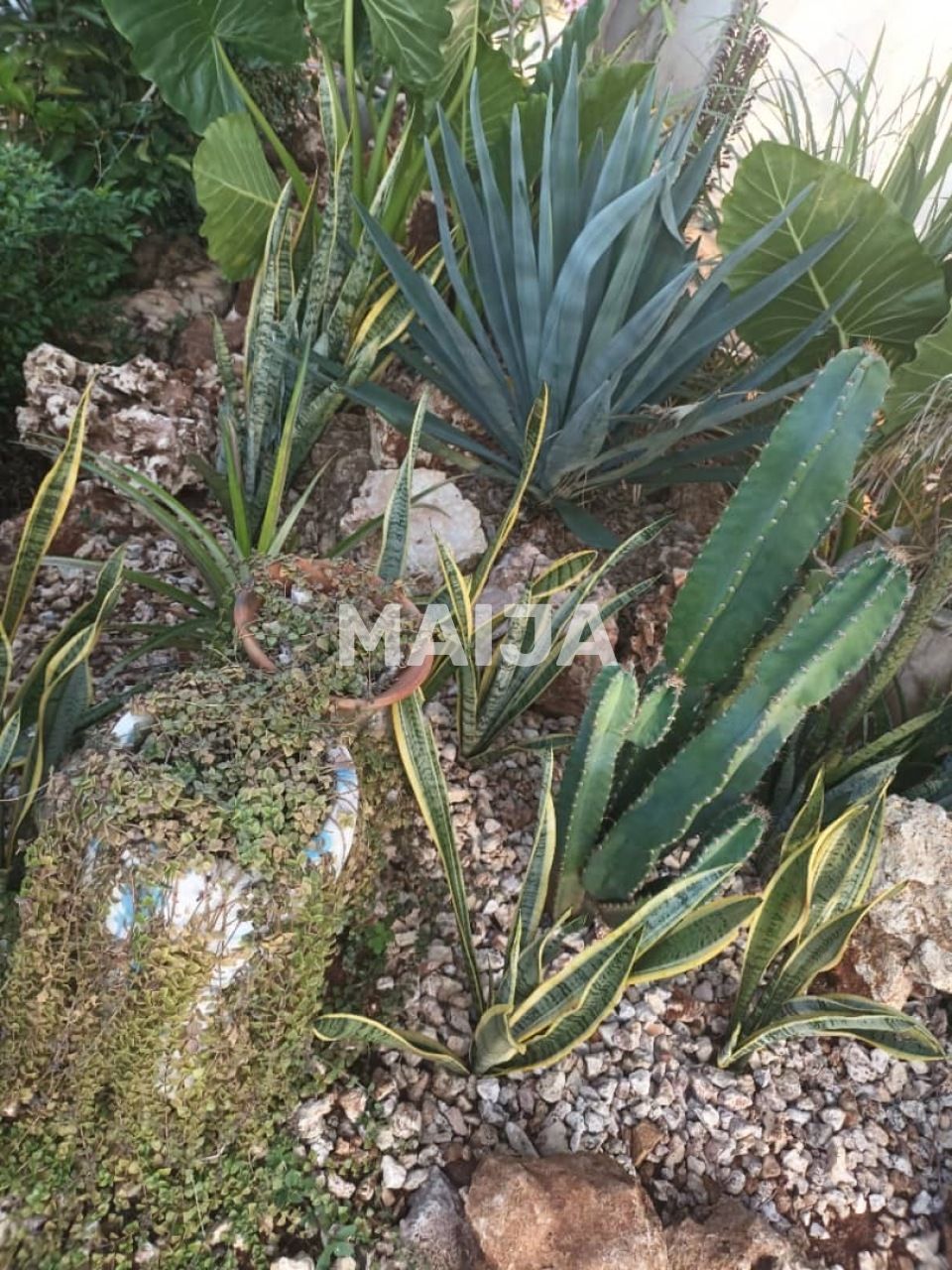 Дом Nungwi, Танзания, 60 м² - фото 13