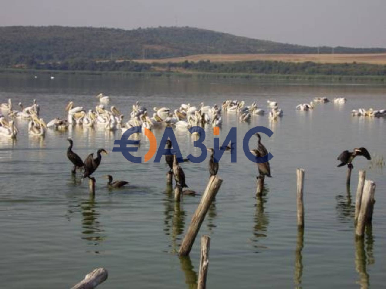 Апартаменты в Бургасе, Болгария, 102 м² - фото 12