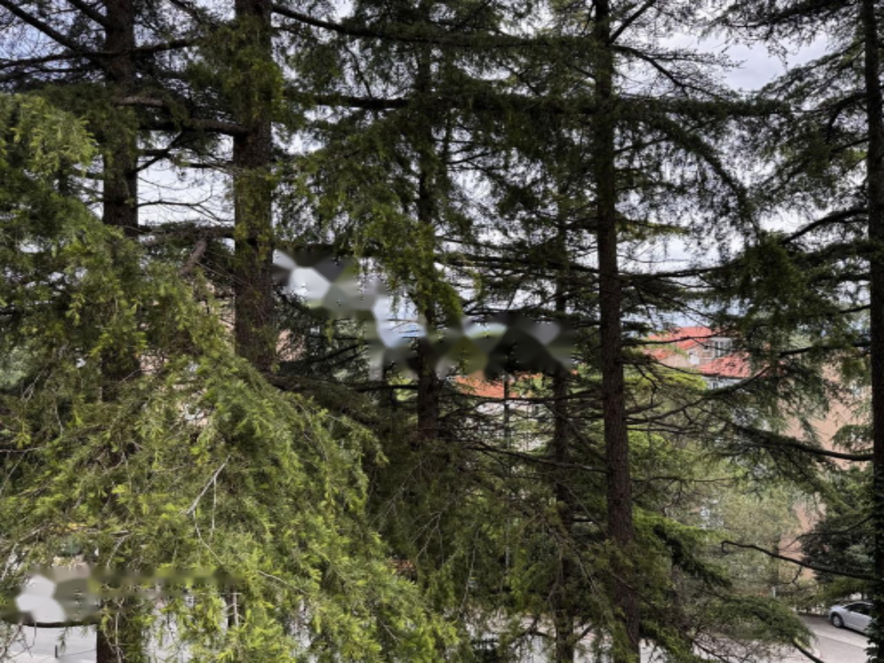 Квартира в Копере, Словения, 92 м² - фото 2