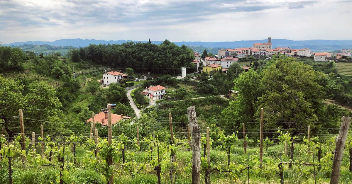 Земля Градишче при Материи, Словения, 64 253 м² - фото 2