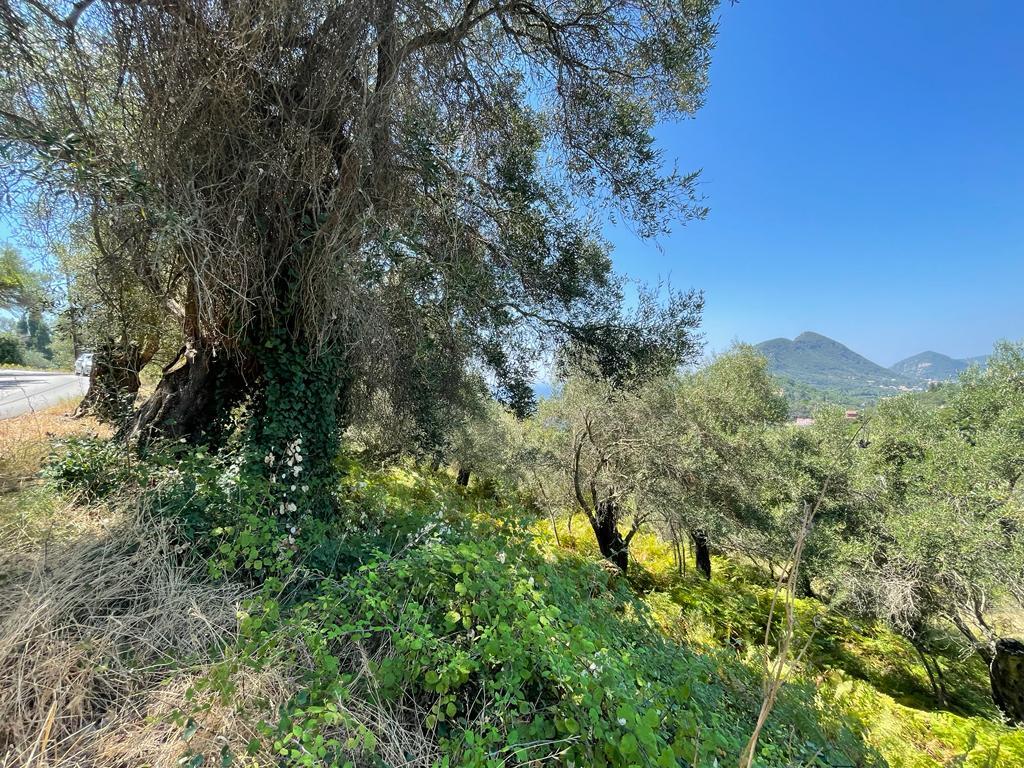 Земля на Корфу, Греция, 1 202 м² - фото 5