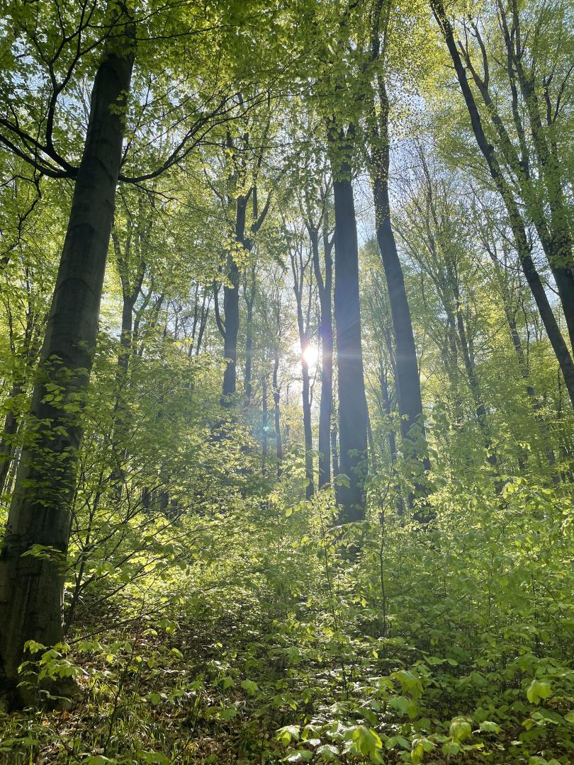 Вилла Gablitz, Австрия, 380 м² - фото 12