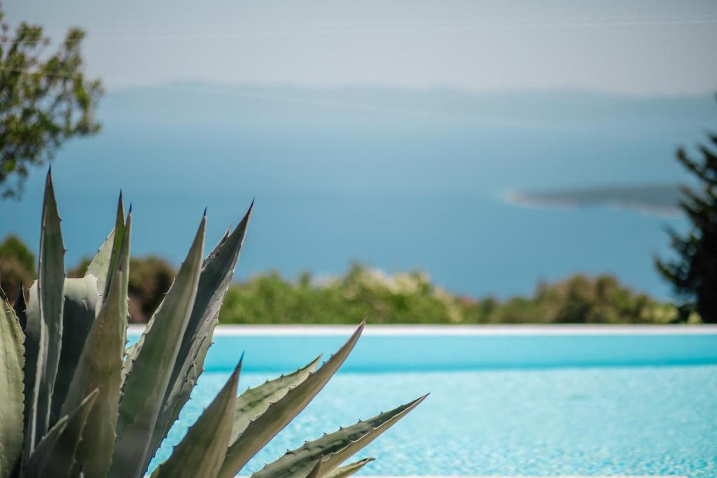 Вилла Jelsa, Хорватия, 350 м² - фото 3