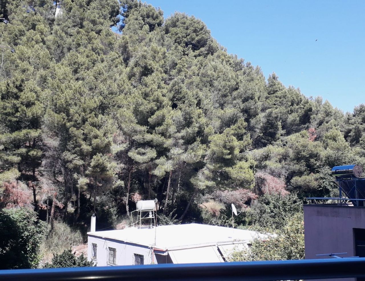 Квартира в Дурресе, Албания, 60 м² - фото 10