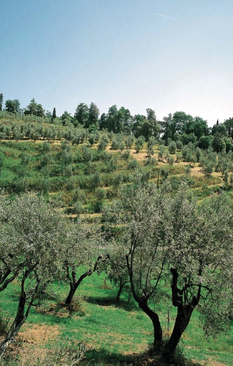 Земля на полуострове Луштица, Черногория, 2 800 м² - фото 6