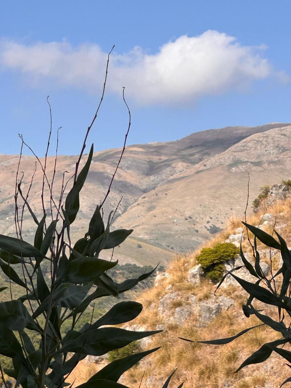 Апартаменты в Скалее, Италия, 65 м² - фото 18