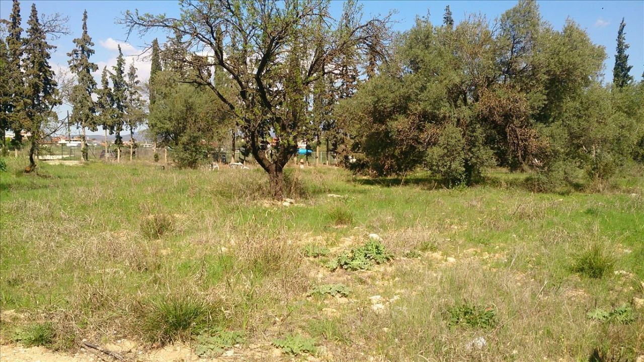 Земля в Ситонии, Греция, 835 м² - фото 5