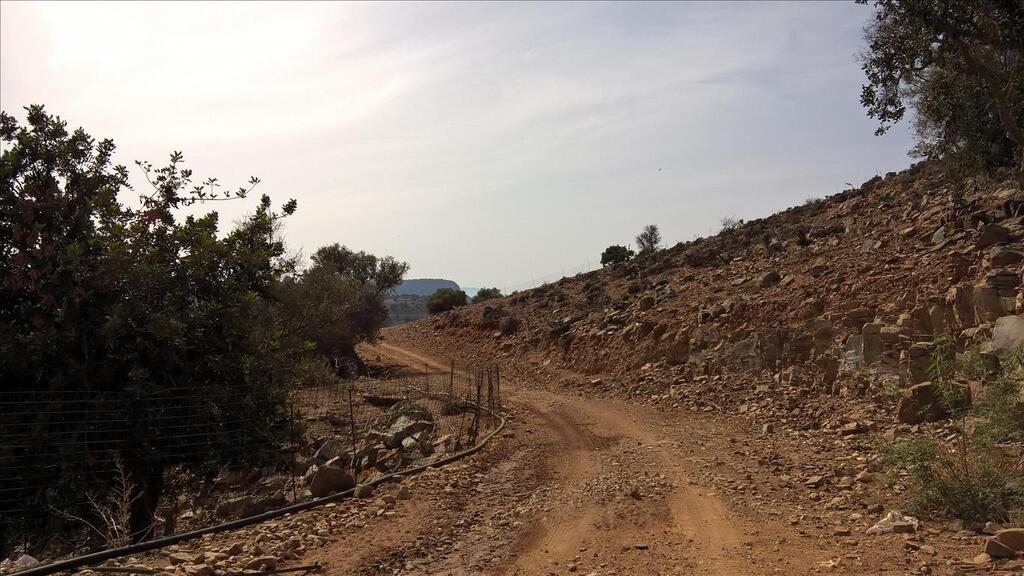 Земля в Ираклионе, Греция, 100 000 м² - фото 6