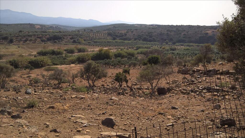 Земля в Ираклионе, Греция, 100 000 м² - фото 8