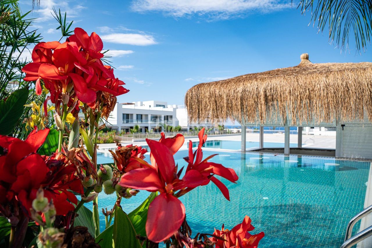 Пентхаус в Кирении, Кипр, 108 м² - фото 4