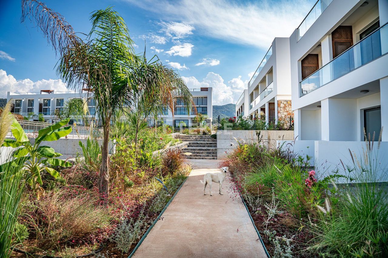 Апартаменты в Кирении, Кипр, 71 м² - фото 5