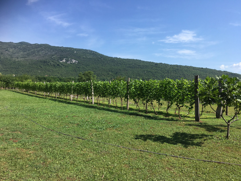 Дом в Даниловграде, Черногория, 162 м² - фото 5