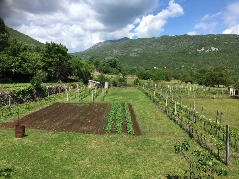 Дом в Даниловграде, Черногория, 162 м² - фото 6