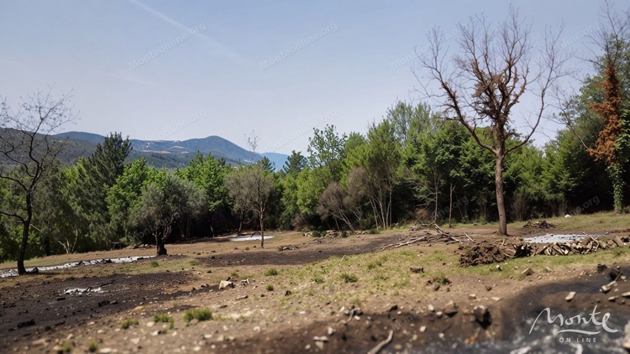 Земля в Которе, Черногория, 4 347 м² - фото 4