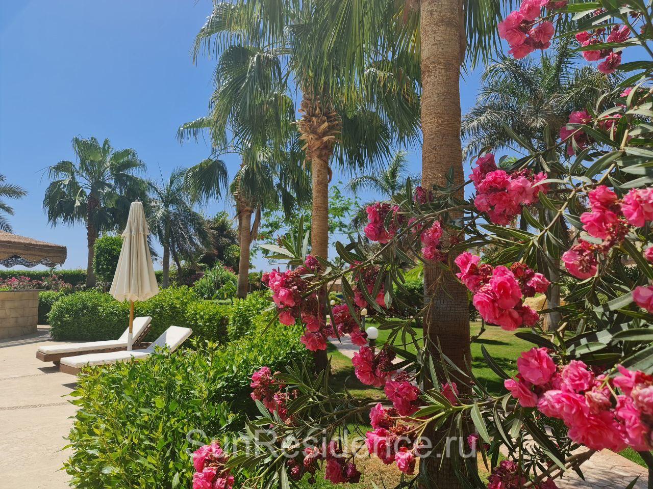 Квартира в Шарм-эль-Шейхе, Египет, 66 м² - фото 11