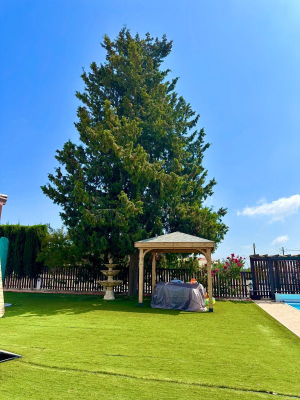 Вилла в Пафосе, Кипр, 350 м² - фото 5