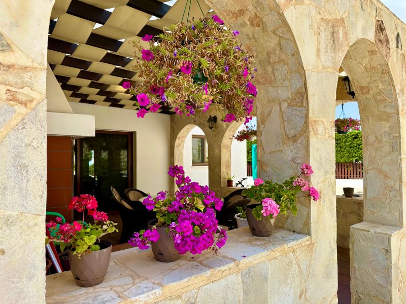 Вилла в Пафосе, Кипр, 350 м² - фото 13