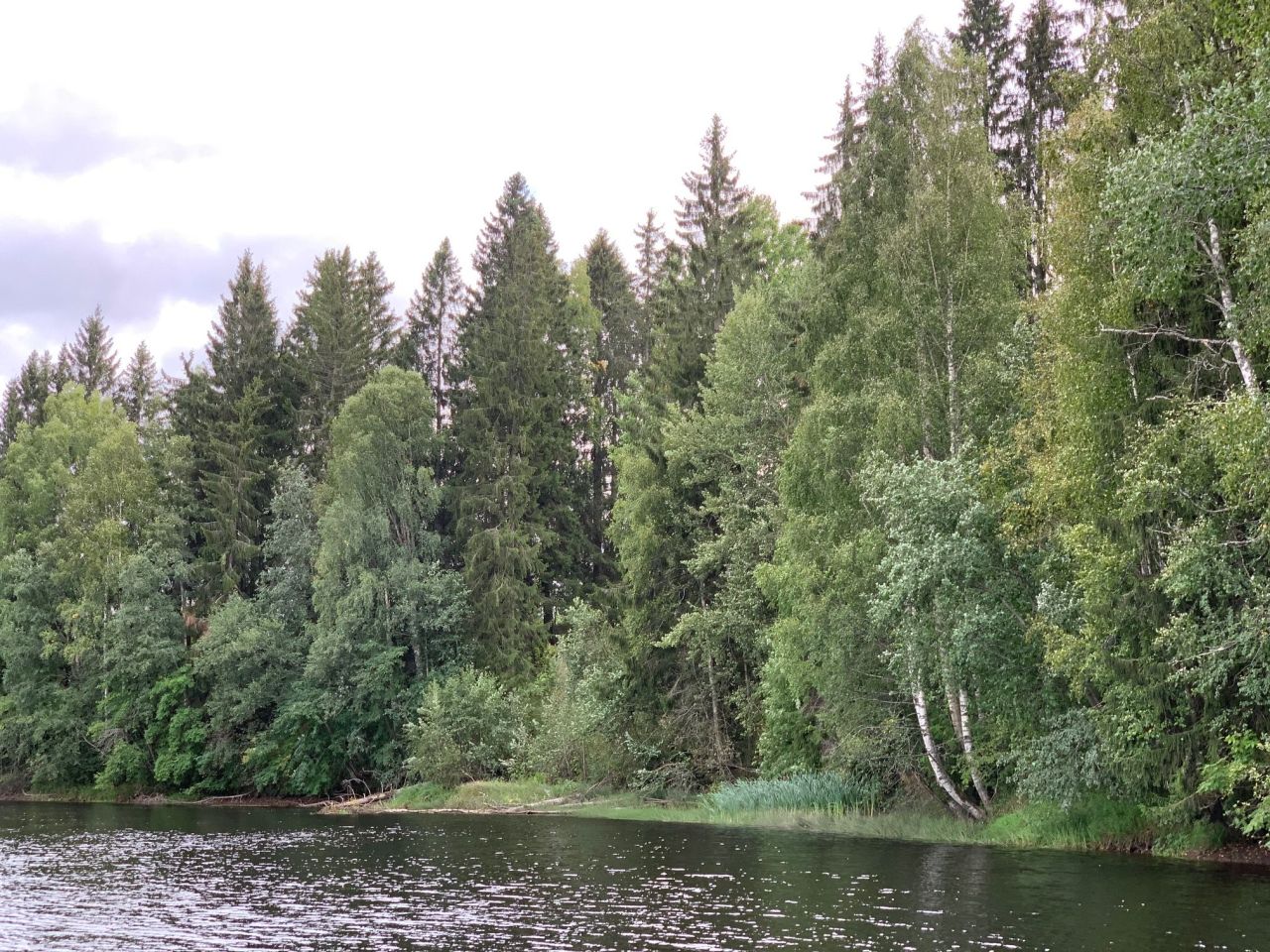 Земля в Тохмаярви, Финляндия, 3 120 м² - фото 9