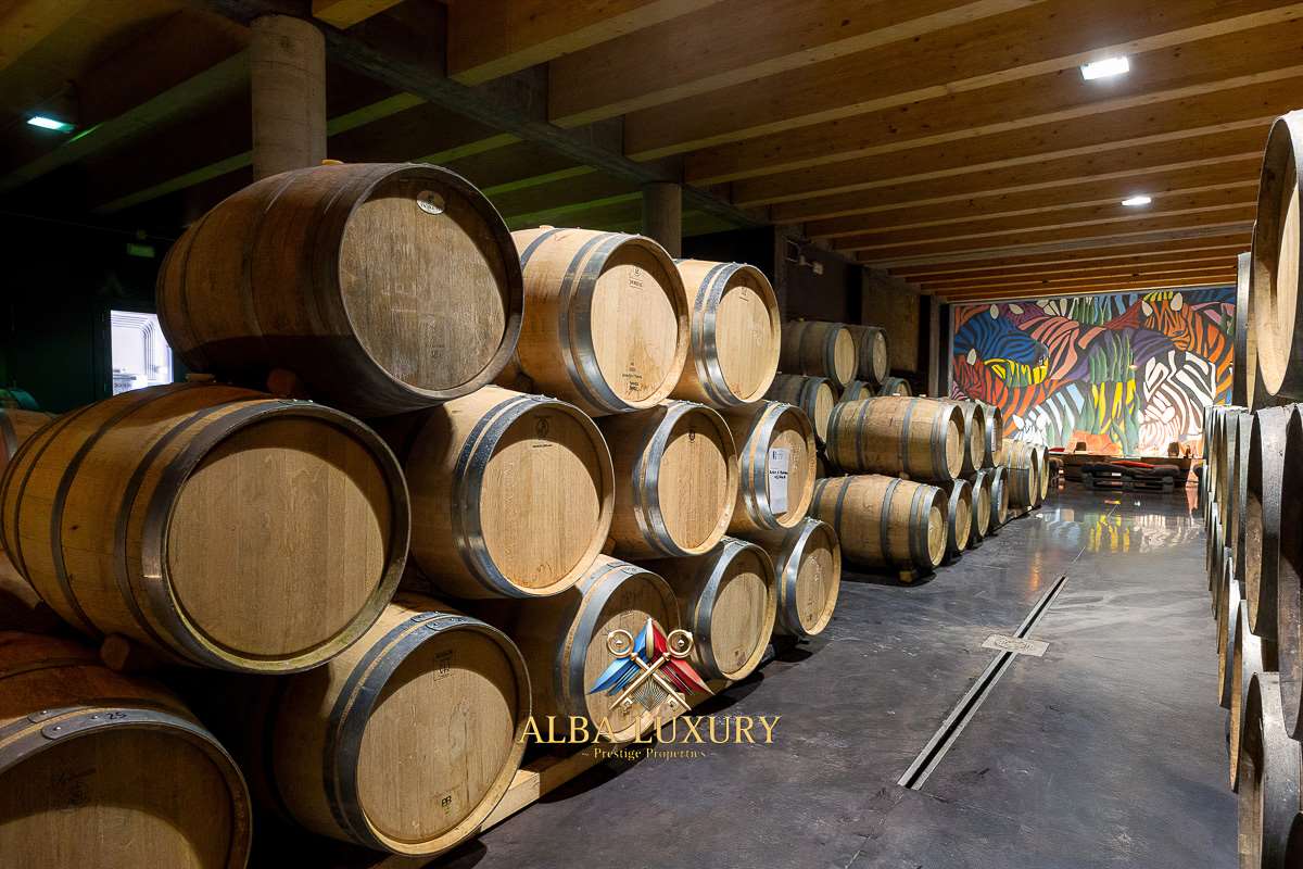 Апартаменты в Монтальчино, Италия, 470 м² - фото 5