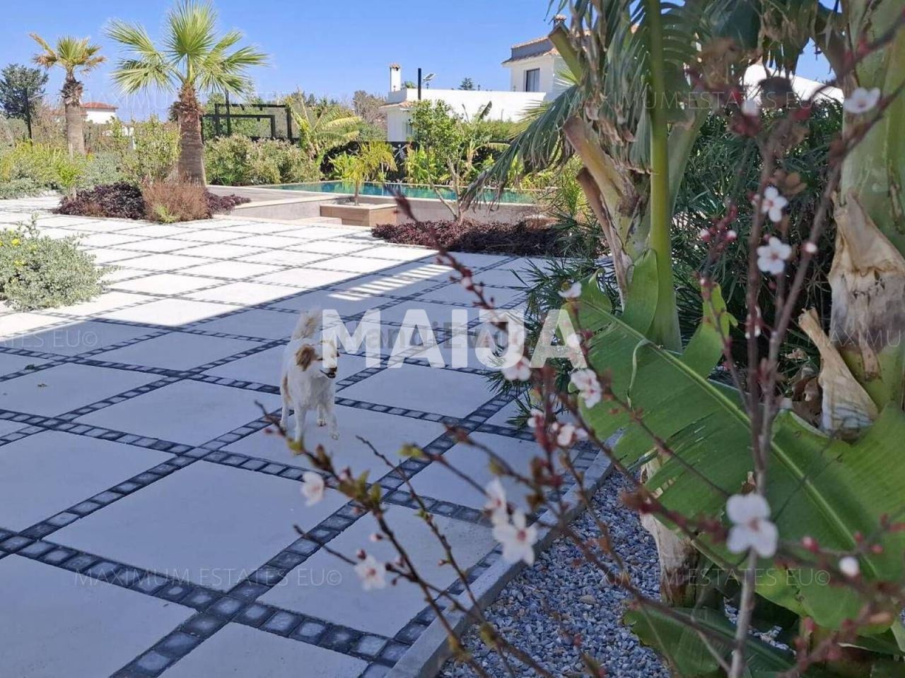 Апартаменты в Лапитосе, Кипр, 60 м² - фото 7