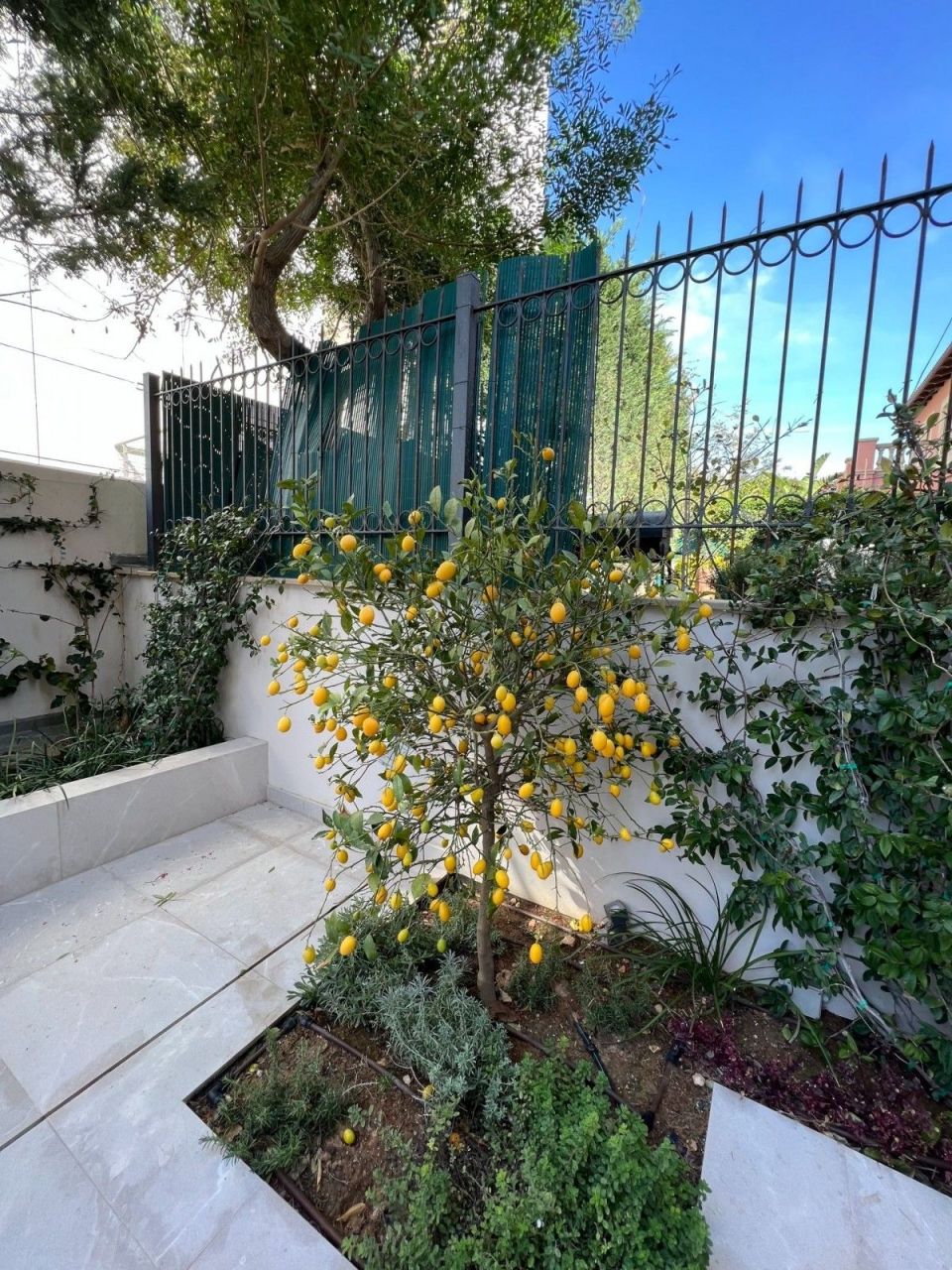 Апартаменты в Лимасоле, Кипр, 118 м² - фото 16