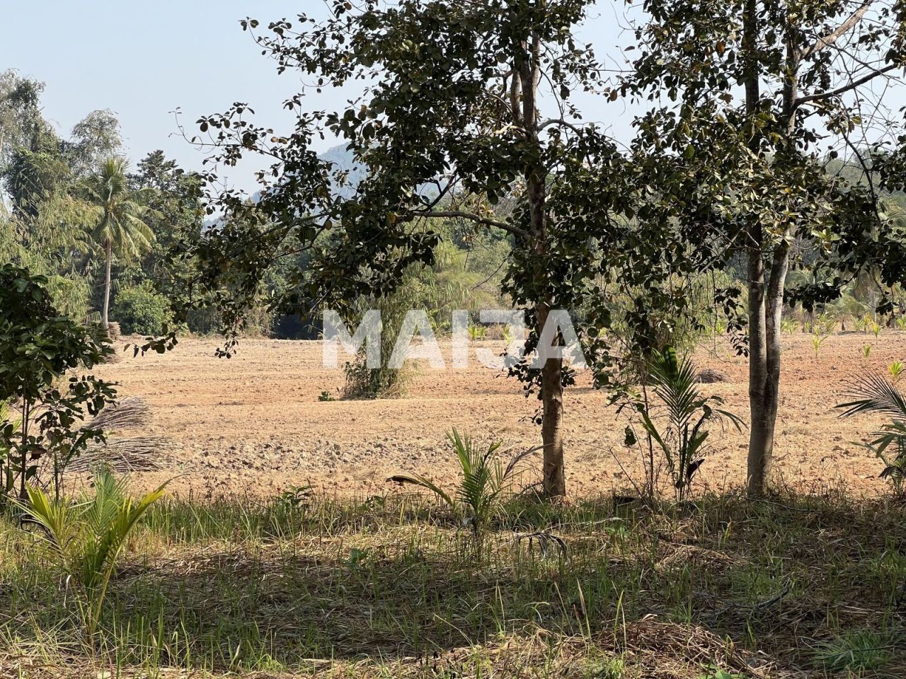 Земля Sattahip, Таиланд, 24 000 м² - фото 5