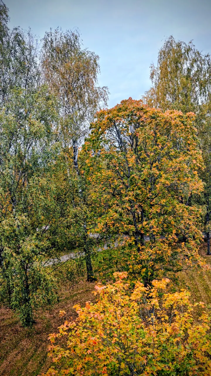 Квартира в Вантаа, Финляндия, 33 м² - фото 12