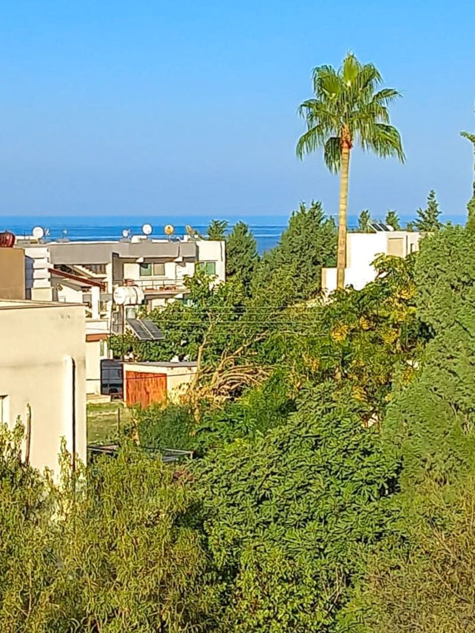 Апартаменты в Кирении, Кипр, 50 м² - фото 19