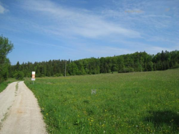 Ферма в Церкнице, Словения, 214 м² - фото 4