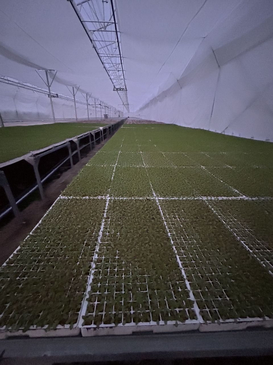 Инвестиционный проект в Анкаре, Турция, 21 812 м² - фото 4