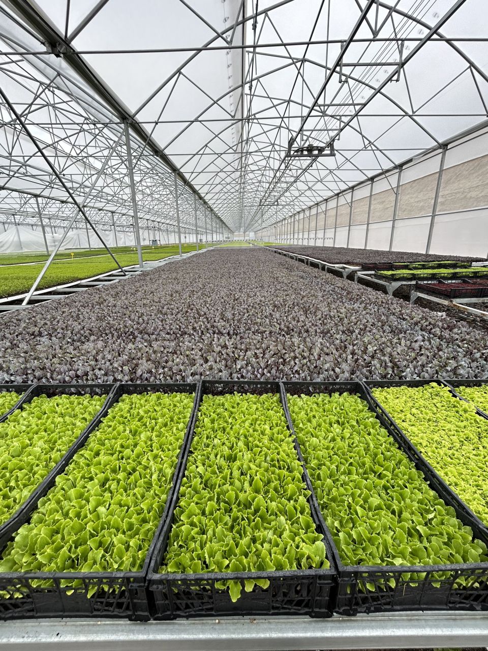 Инвестиционный проект в Анкаре, Турция, 21 812 м² - фото 6