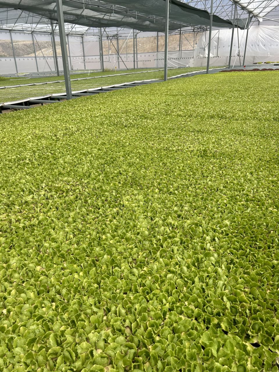 Инвестиционный проект в Анкаре, Турция, 21 812 м² - фото 9