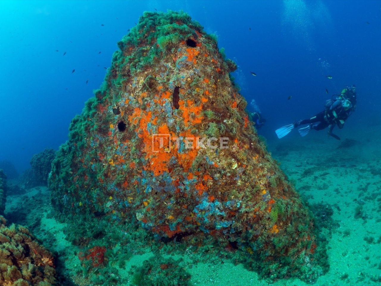 Пентхаус в Агиласе, Испания, 70 м² - фото 16