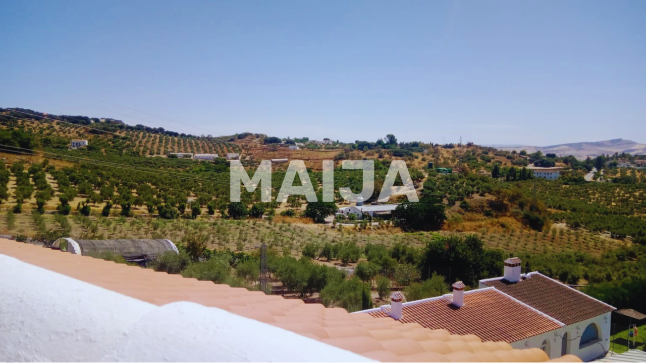 Отель, гостиница Olvera, Испания, 4 986 м² - фото 14