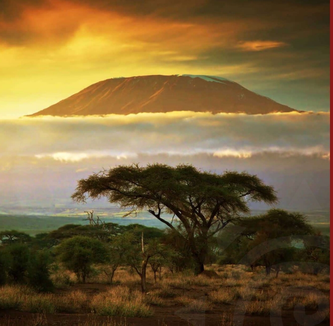 Апартаменты Tatu City, Кения, 38.1 м² - фото 10