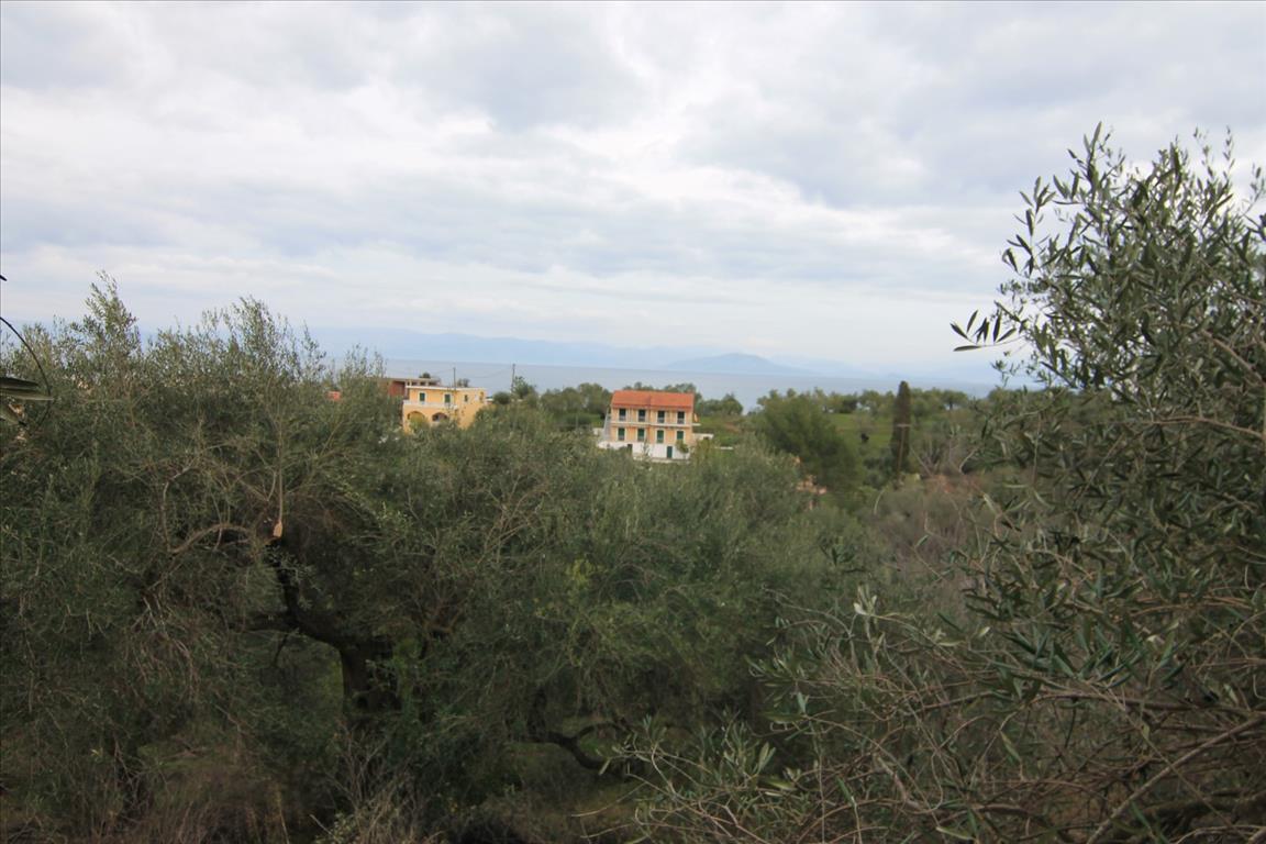 Земля на Корфу, Греция, 6 400 м² - фото 16