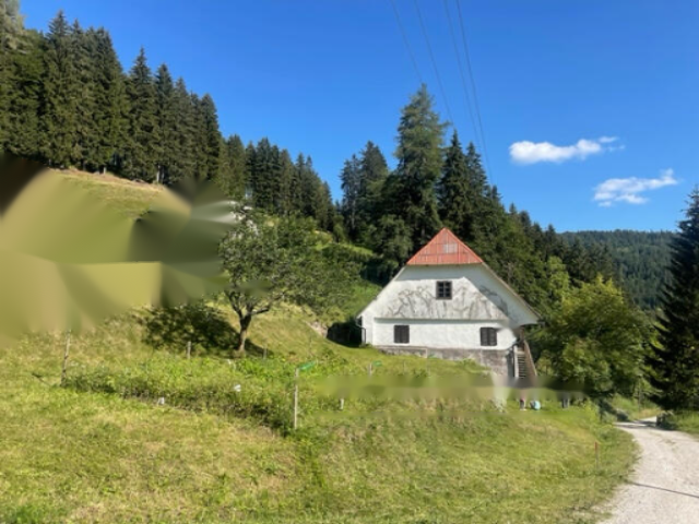 Дом в Целе, Словения, 200 м² - фото 3