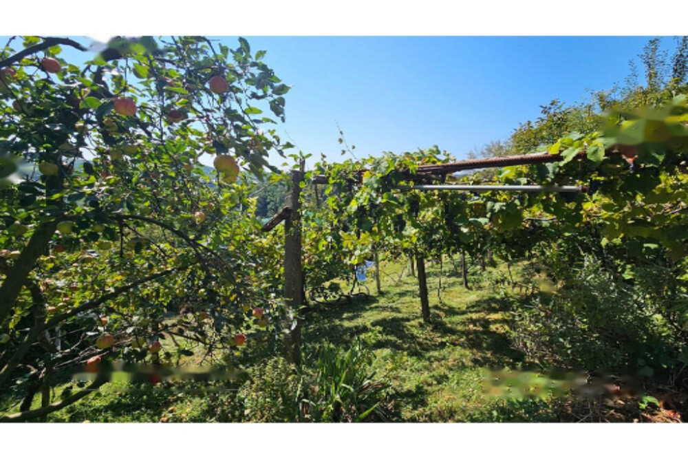 Дом в Кране, Словения, 130 м² - фото 5