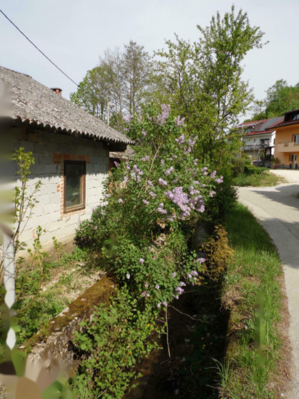 Дом в Диваче, Словения, 55 м² - фото 6