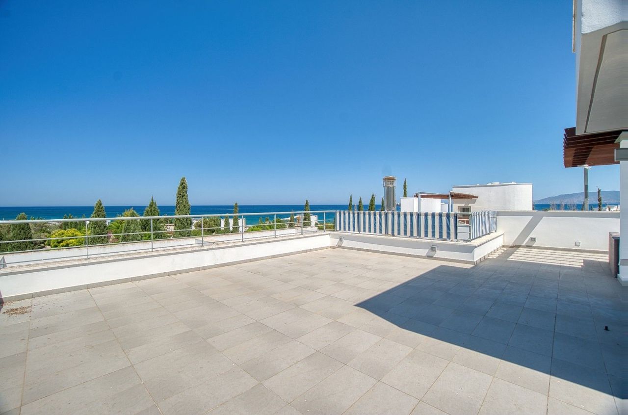 Вилла в Пафосе, Кипр, 288 м² - фото 15