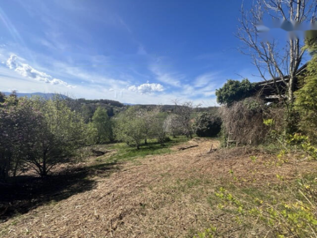 Дом в Птуе, Словения, 110 м² - фото 7