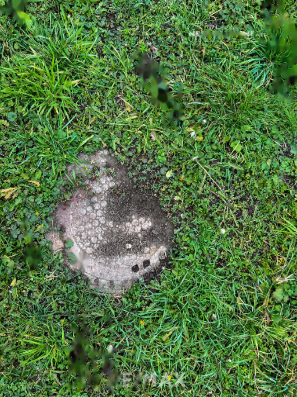 Дом в Лендаве, Словения, 100 м² - фото 11