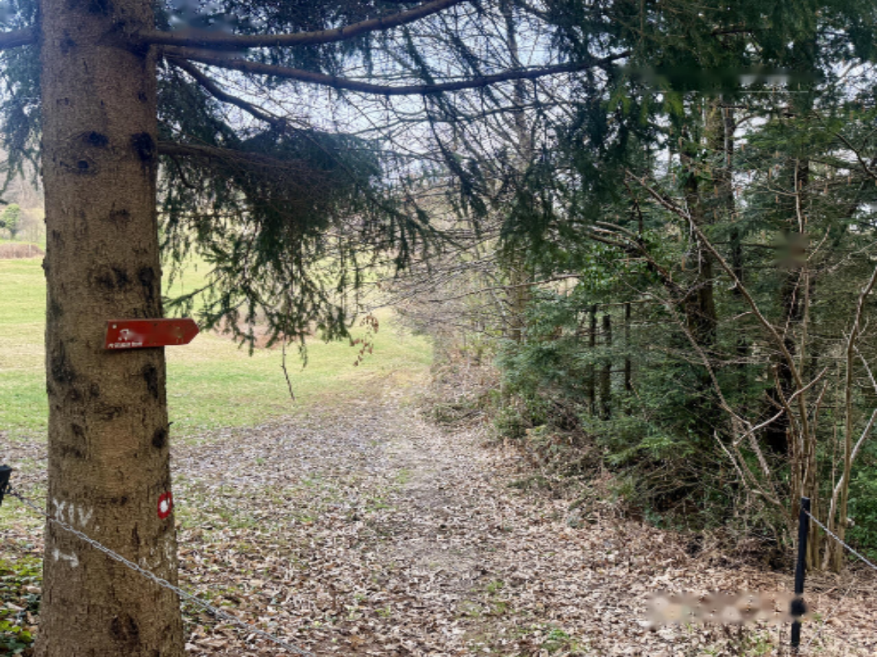 Дом в Диваче, Словения, 79 м² - фото 14