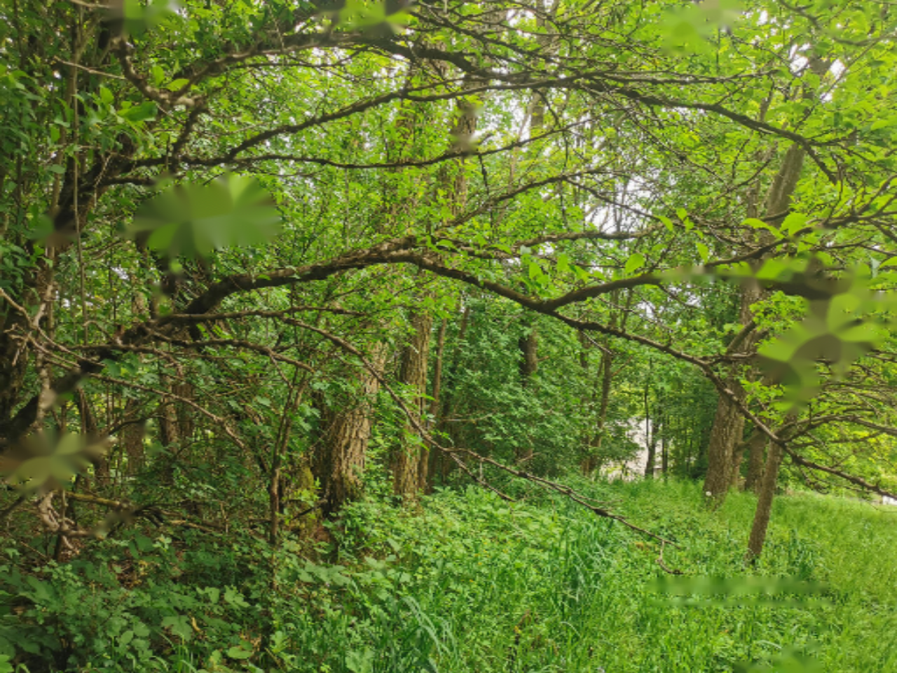 Дом в Малечнике, Словения, 79 м² - фото 14