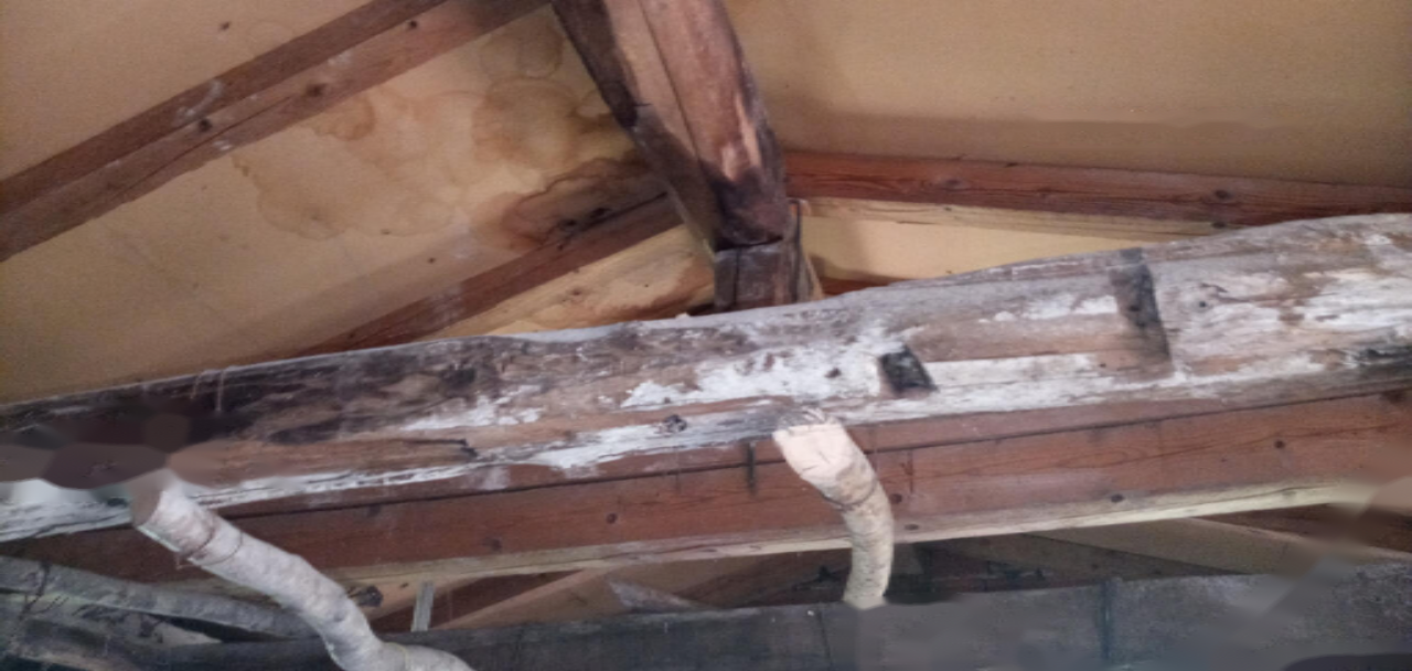 Дом в Пиране, Словения, 140 м² - фото 15